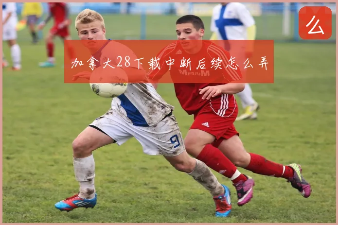 加拿大28下载中断后续怎么弄