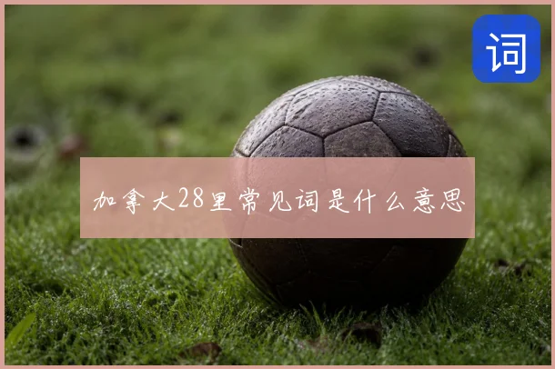 加拿大28里常见词是什么意思